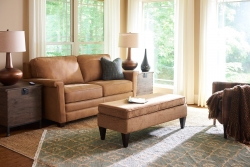 Bexley Apartment Size Sofa Collection